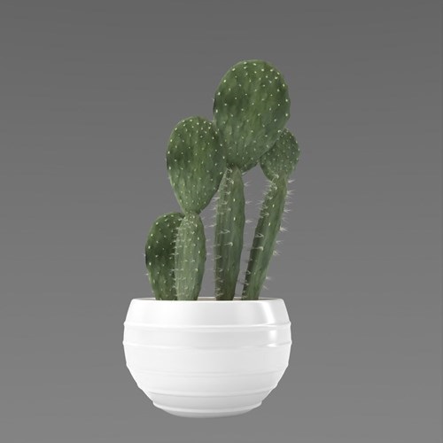 SU模型库丨Vray模型丨植物丨SUBIM099CS0086