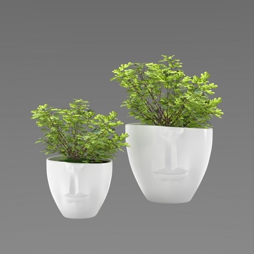 SU模型库丨Vray模型丨植物丨SUBIM099CS0093