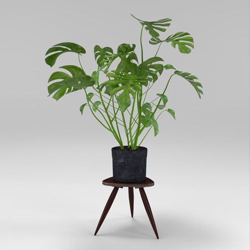 SU模型库丨Vray模型丨植物丨SUBIM002ZW0142