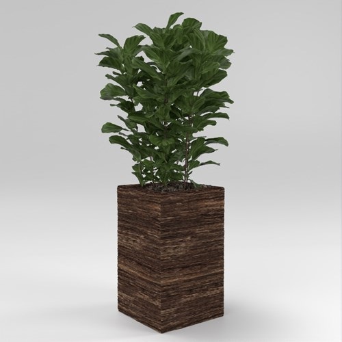 SU模型库丨Vray模型丨植物丨SUBIM002ZW0149