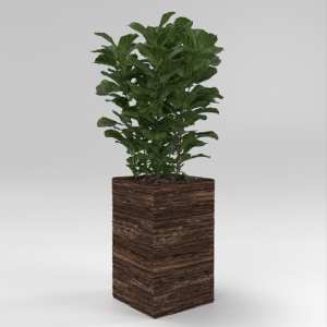 SU模型库丨Vray模型丨植物丨SUBIM002ZW0149
