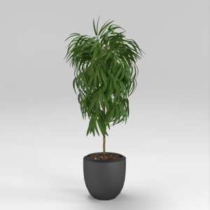 SU模型库丨Vray模型丨植物丨SUBIM002ZW0152