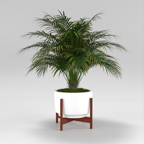 SU模型库丨Vray模型丨植物丨SUBIM002ZW0156