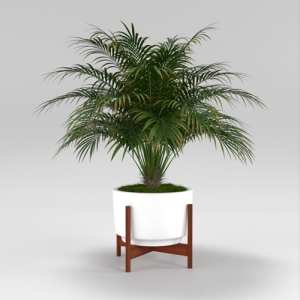 SU模型库丨Vray模型丨植物丨SUBIM002ZW0156