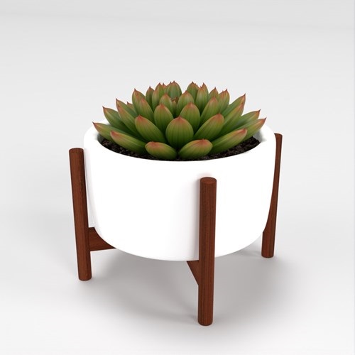 SU模型库丨Vray模型丨植物丨SUBIM002ZW0157