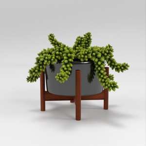 SU模型库丨Vray模型丨植物丨SUBIM002ZW0158