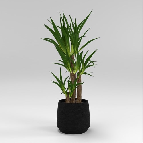 SU模型库丨Vray模型丨植物丨SUBIM002ZW0163