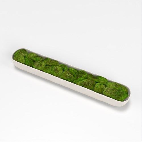 SU模型库丨Vray模型丨植物丨SUBIM002ZW0167