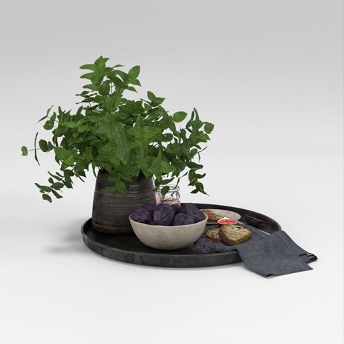 SU模型库丨Vray模型丨植物丨SUBIM002ZW0171