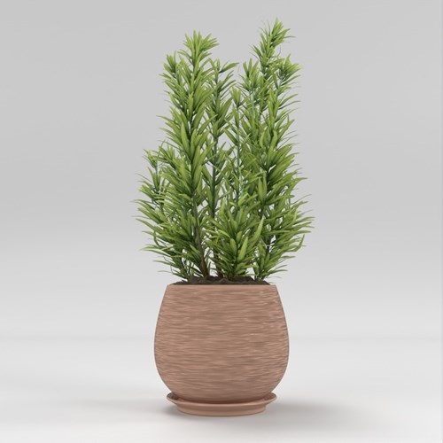SU模型库丨Vray模型丨植物丨SUBIM002ZW0172