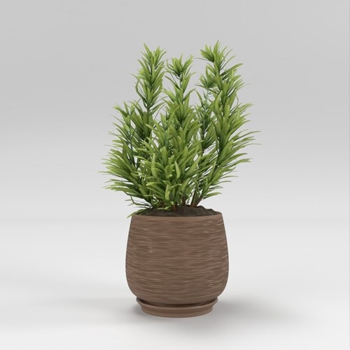 SU模型库丨Vray模型丨植物丨SUBIM002ZW0173