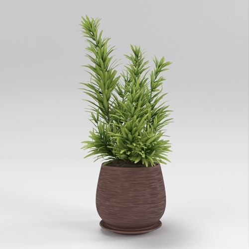 SU模型库丨Vray模型丨植物丨SUBIM002ZW0174