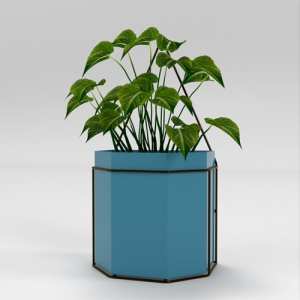 SU模型库丨Vray模型丨植物丨SUBIM002ZW0180