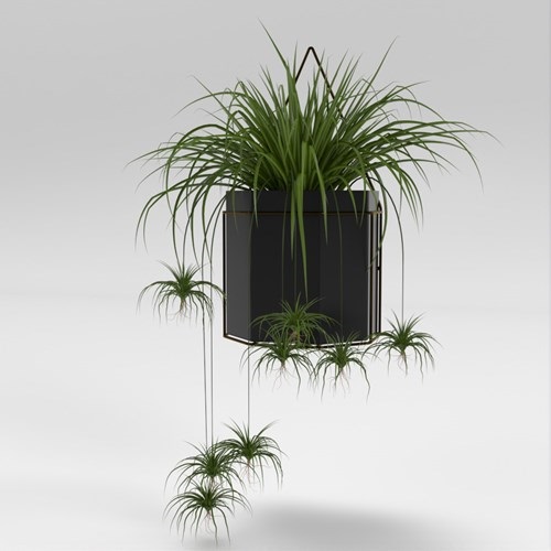SU模型库丨Vray模型丨植物丨SUBIM002ZW0184