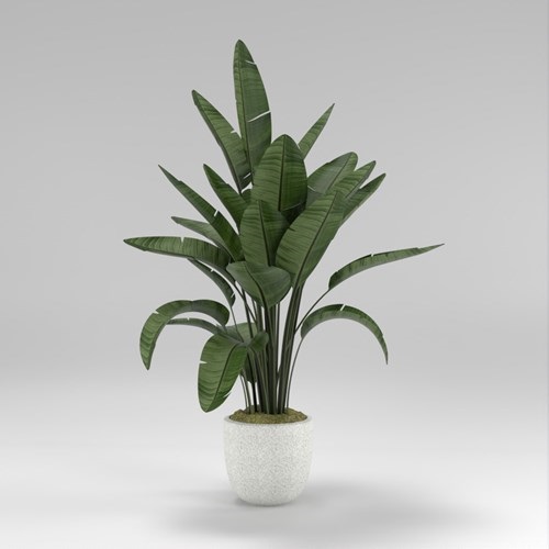 SU模型库丨Vray模型丨植物丨SUBIM002ZW0185