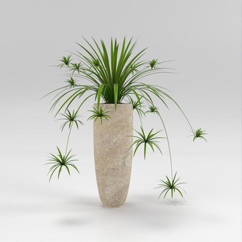 SU模型库丨Vray模型丨植物丨SUBIM002ZW0190