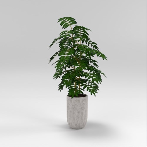 SU模型库丨Vray模型丨植物丨SUBIM002ZW0193