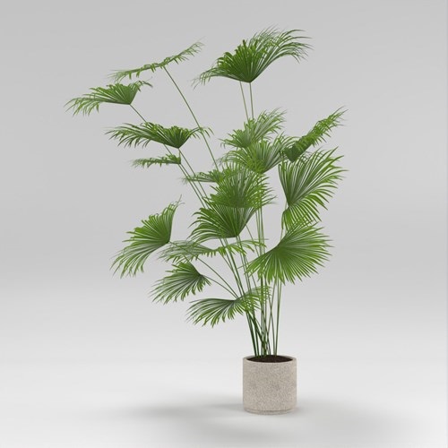 SU模型库丨Vray模型丨植物丨SUBIM002ZW0194