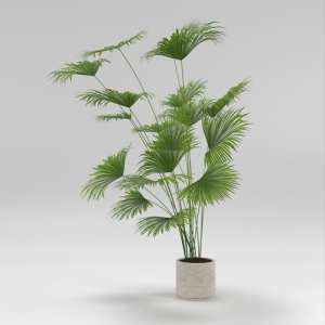 SU模型库丨Vray模型丨植物丨SUBIM002ZW0194