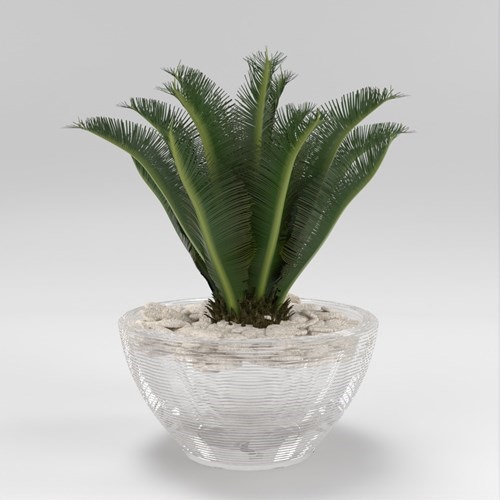 SU模型库丨Vray模型丨植物丨SUBIM002ZW0197