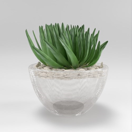 SU模型库丨Vray模型丨植物丨SUBIM002ZW0198