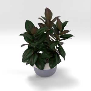 SU模型库丨Vray模型丨植物丨SUBIM002ZW0201