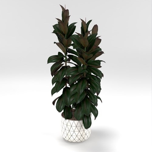 SU模型库丨Vray模型丨植物丨SUBIM002ZW0202