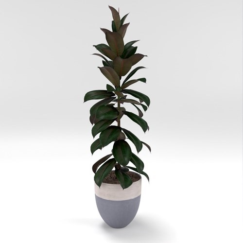 SU模型库丨Vray模型丨植物丨SUBIM002ZW0203