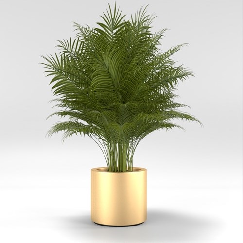 SU模型库丨Vray模型丨植物丨SUBIM002ZW0206