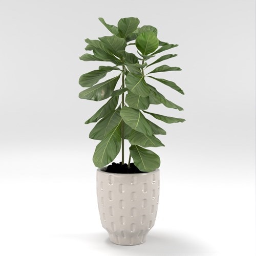 SU模型库丨Vray模型丨植物丨SUBIM002ZW0207