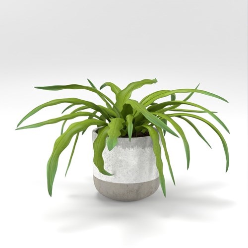 SU模型库丨Vray模型丨植物丨SUBIM002ZW0209