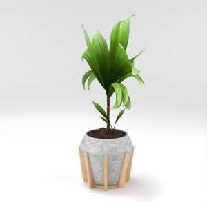 SU模型库丨Vray模型丨植物丨SUBIM002ZW0210