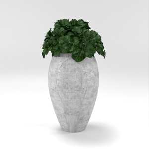 SU模型库丨Vray模型丨植物丨SUBIM002ZW0211
