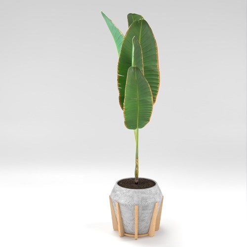 SU模型库丨Vray模型丨植物丨SUBIM002ZW0212