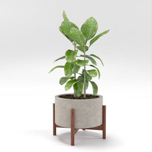 SU模型库丨Vray模型丨植物丨SUBIM002ZW0214
