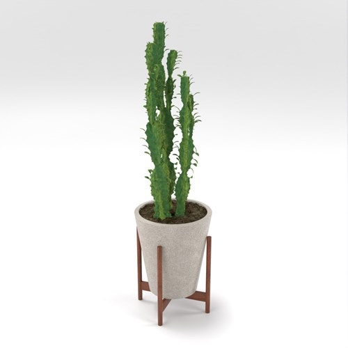 SU模型库丨Vray模型丨植物丨SUBIM002ZW0216