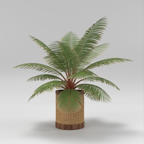 SU模型库丨Vray模型丨植物丨SUBIM002ZW0223