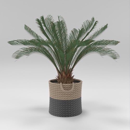 SU模型库丨Vray模型丨植物丨SUBIM002ZW0225