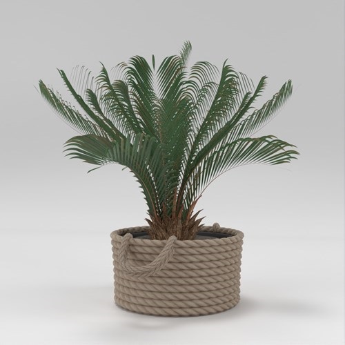 SU模型库丨Vray模型丨植物丨SUBIM002ZW0226