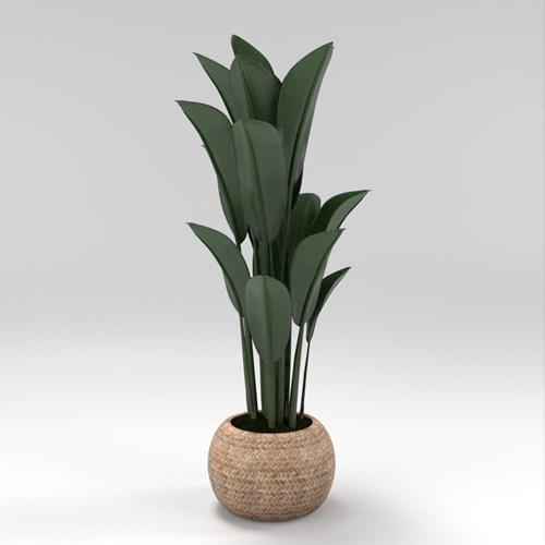 SU模型库丨Vray模型丨植物丨SUBIM002ZW0229