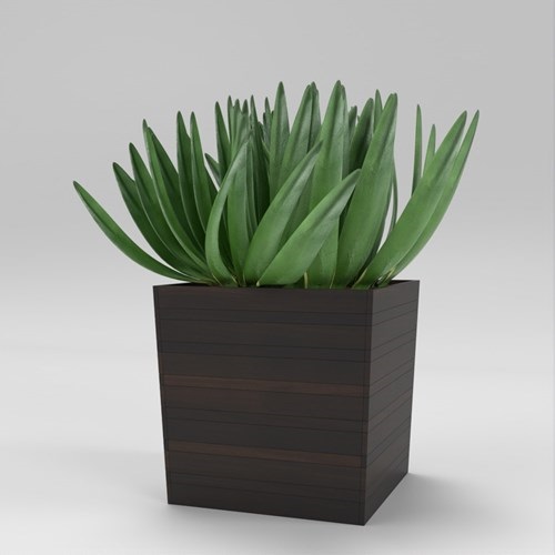 SU模型库丨Vray模型丨植物丨SUBIM002ZW0233