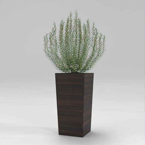 SU模型库丨Vray模型丨植物丨SUBIM002ZW0234