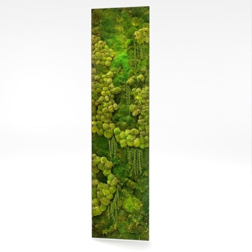SU模型库丨Vray模型丨植物丨SUBIM002ZW0239