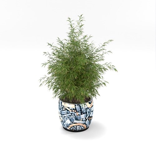 SU模型库丨Vray模型丨植物丨SUBIM002ZW0241