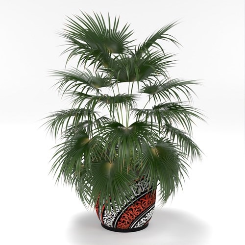 SU模型库丨Vray模型丨植物丨SUBIM002ZW0242