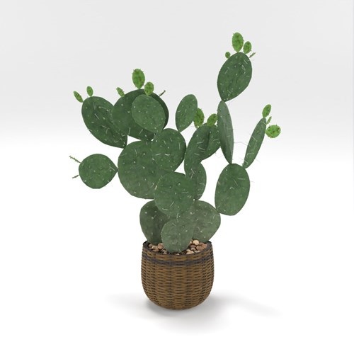 SU模型库丨Vray模型丨植物丨SUBIM002ZW0243