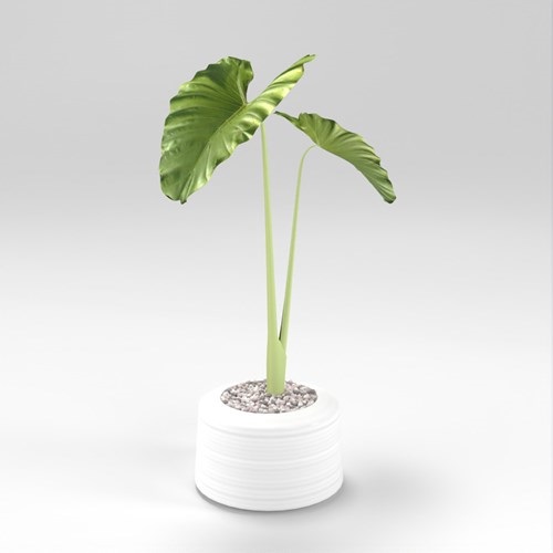 SU模型库丨Vray模型丨植物丨SUBIM002ZW0246