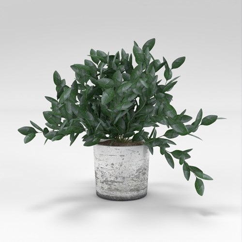 SU模型库丨Vray模型丨植物丨SUBIM002ZW0250
