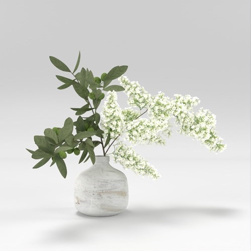 SU模型库丨Vray模型丨植物丨SUBIM002ZW0251