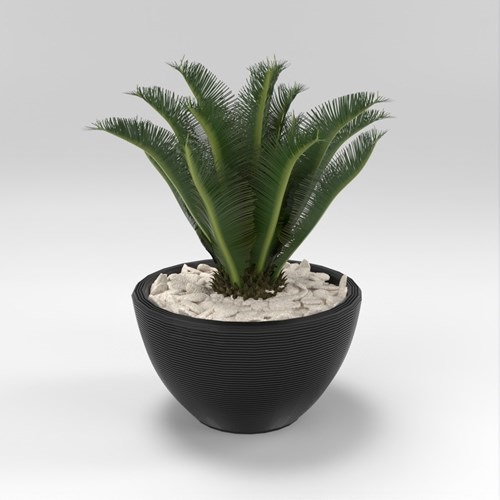 SU模型库丨Vray模型丨植物丨SUBIM002ZW0252